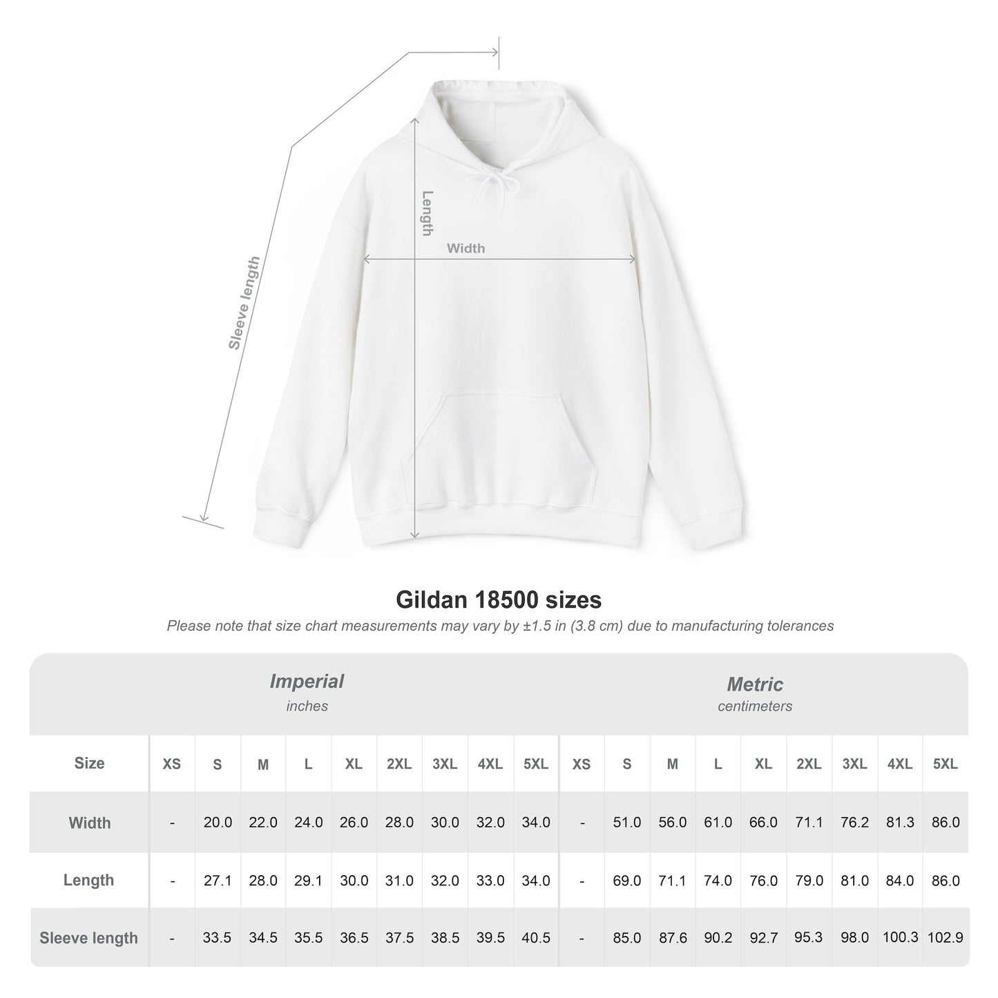 Sophomore Year Unisex Hooded Sweatshirt | Cozy College Apparel, Graduation Gift, Student Hoodie, Class of 2025, Back to School Outfit