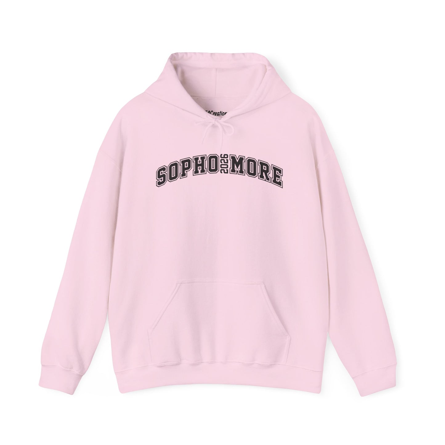 Sophomore Year Unisex Hooded Sweatshirt | Cozy College Apparel, Graduation Gift, Student Hoodie, Class of 2025, Back to School Outfit