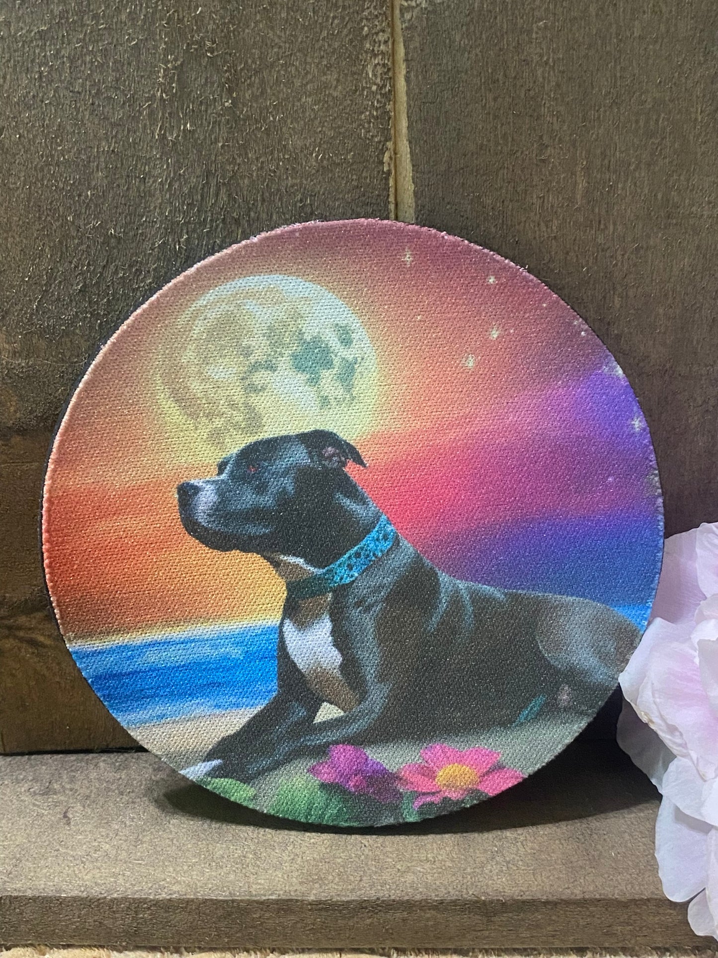 Pitbull Tropical Coaster set