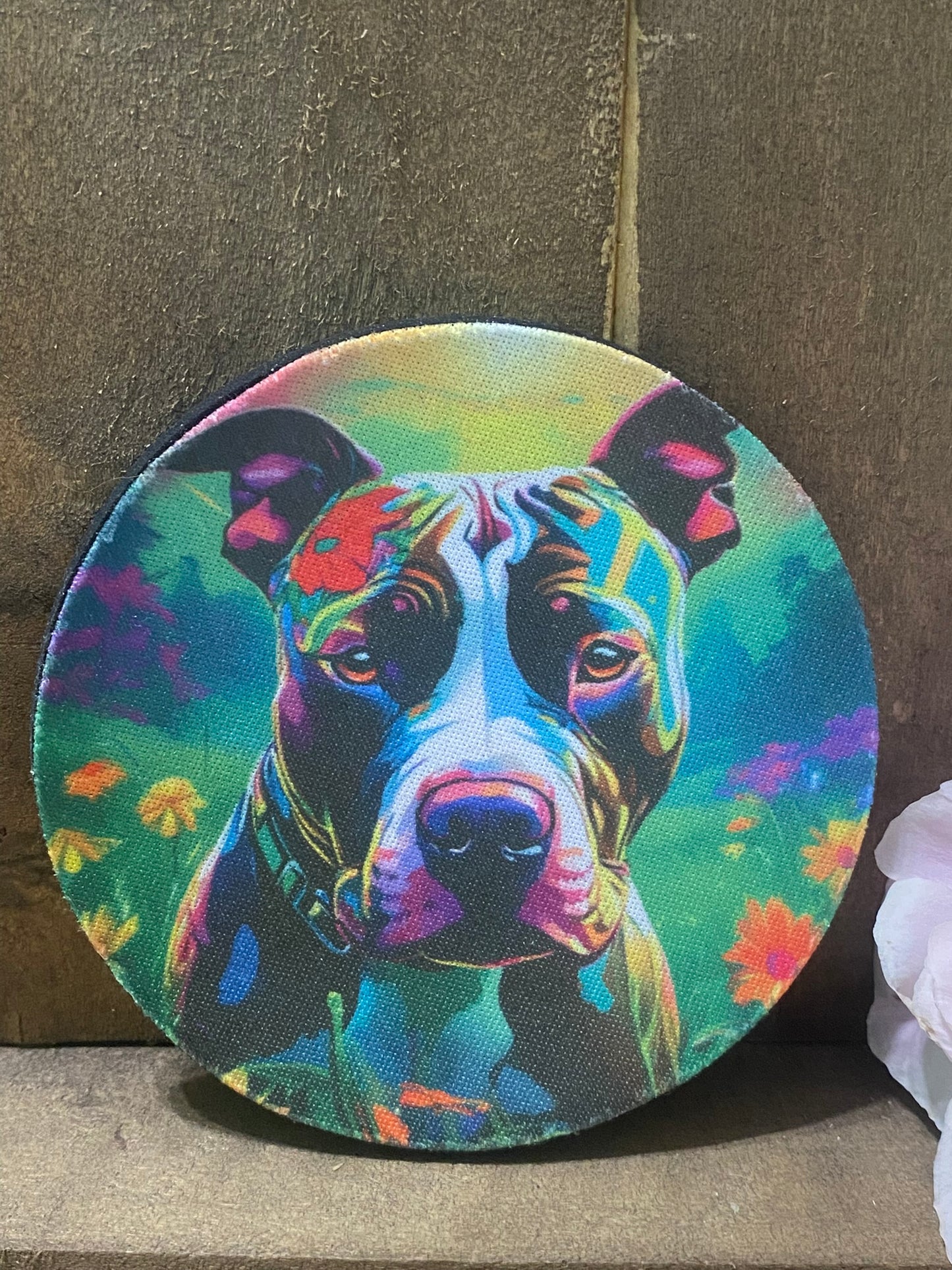 Pitbull Coaster set