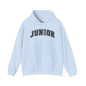 Junior 2026 Sweatshirt, Unisex Graduation Hoodie, Gift for Graduates, Casual College Apparel, Trendy Class of 2026 Hoodie