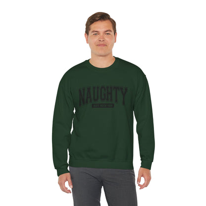 Naughty but Nice Sweatshirt, Cozy Crewneck, Fun Gift for Friends, Casual Wear, Holiday Cheer, Perfect for Parties