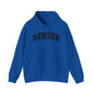 Senior Year 2026 Hoodie, Unisex Sweatshirt for Graduates, Custom Graduation Gift, School Spirit Wear, Cozy Outfit for Celebrations