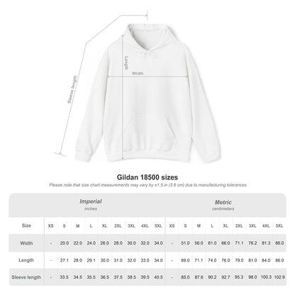Freshman Unisex Hoodie, College Sweatshirt, Back to School Apparel, Class of 2026, Trendy Gift for Students