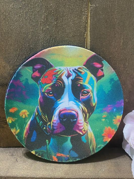 Pitbull Coaster set